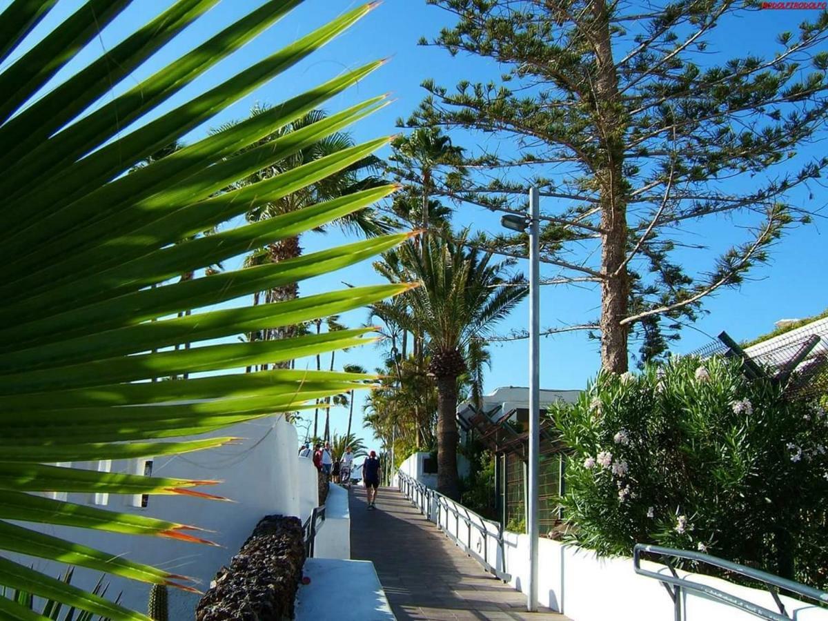Los Cristianos to enjoy, relax&live the ocean! Exterior foto